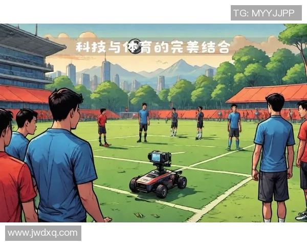 探索446足球的魅力与发展历程揭示其在全球体育中的独特地位与影响力